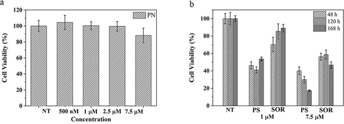 Figure 10 In vitro cytotoxicity studies: (a) Viability of HepG2 cells cultured with: (a) empty PN without SOR after 48 hours, and (b) various concentrations of PS and free SOR after 48, 120 and 168 hours. NT correspond to not treated cells.