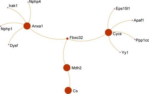 Figure 7 Protein network for 24 hour follow-up of exposure. Figure 8 Protein network for 28-day follow-up of exposure.Display full size