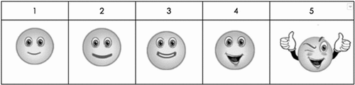 Figure 1. Five-point smiley face Likert scale used in the learner survey.