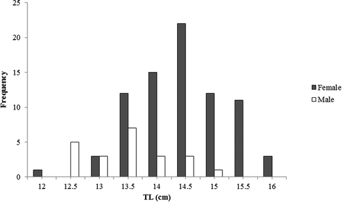 Figure 3. Length frequency distribution (LFD) of Upeneus pori recorded off Lampedusa Island (Strait of Sicily).