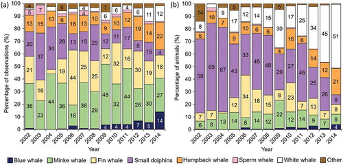 Figure 2. (a) Percentage of observations for each species by year and (b) percentage of animals for each species by year. Unlabelled bars denote a frequency of less than 4%. “Small dolphins” represents Lagenorhynchus spp.