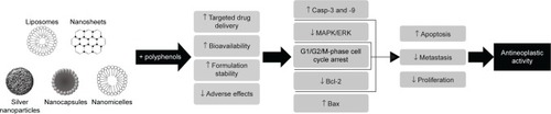 Figure 1 Polyphenol nanoformulations and their mechanisms as antineoplastic agents.Abbreviations: Casp-3 and -9, caspase-3 and caspase-9; MAPK/ERK, mitogen-activated protein kinases/extracellular signal-regulated kinases.