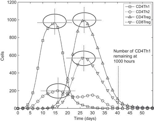 Figure 4. The nine responses adopted to analyse the EAE simulation, shown on a graph of the number of effector T cells over time. For each of the four T cell species, both the maximum number reached and the time at which that number was reached are assumed as a separate response (these are indicated as crosshairs on the diagram). The ninth response is the number of autoimmune CD4Th1 effector cells remaining at 1000 hours.