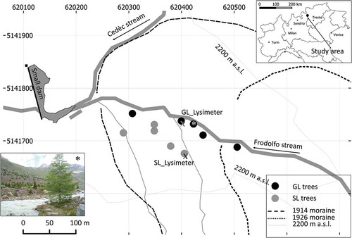 Figure 1. Study-area location and position of the sampled trees at the two study sites: GL (along the glacier stream) and SL (toward the valley slope). The photo refers to the tree marked by an asterisk, and was taken toward the southeast direction The position of the two latero-frontal moraines of the Forni Glacier in 1914 and in 1926 is also depicted. Coordinates refer to the UTM zone 32 N.