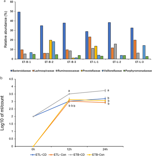 Figure 5. Gut microbiota composition of volunteer subjects and results of in vitro experiments. (a) The relative abundance of the top 5 intestinal flora at the family level of 5 subjects. Subjects with a higher abundance of Bacteroidaceae and lower numbers of Lachnospiraceae and ruminococcaceae were classified as enterotype bacteridaceae (ET-B). Subjects with a higher abundance of Lachnospiraceae and ruminococcaceae were classified as enterotype Lachnospiraceae (ET-L). (b) Enumeration of C. difficile in ET-B and ET-L feces cultured in vitro. ETL-CD: ET-L enterotype feces co-cultured with C. difficile, ETL-Con: ET-L enterotype feces co-cultured with C. difficile, ETB-CD: ET-B enterotype feces co-cultured with C. difficile, ETB-Con: ET-B enterotype feces cultured alone. Statistical differences in Tukey’s test are expressed in letters. Different letters indicate significant differences between groups, and the same letters indicate no significant differences.