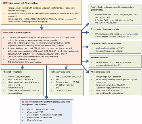 Figure 3. Flow chart of the diagnostic approach to detect the underlying disease process in a patient with newly diagnosed AA amyloidosis, but still without an obvious cause (yellow box). First step is obtaining a complete history and performing a thorough physical examination, together with a core set of basic laboratory measurements and imaging (orange box). Second step shows the possible investigations in seven directions guided by specific clues obtained from history or from symptoms (green boxes). If localizing symptoms or diagnostic clues remain absent, a full search for the underlying inflammatory process is justified (blue box). AA: amyloid A; AECA: anti-endothelial cell antibody; AF: alkaline phosphatase; AL: amyloid light chain-related; ALAT: alanine amino transferase; AMA: anti-mitochondrial antibody; ANA: antinuclear antibody; ANCA: anti-neutrophil cytoplasmic antibody; anti-CCP: anti-cyclic citrullinated protein; ASAT: aspartate amino transferase; ATTR: amyloid transthyretin-related; BAL: bronchoalveolar lavage; BMI: body mass index; C3/C4: complement factor 3 and 4; CAPS: cryopyrin-associated periodic syndrome; CF: cystic fibrosis; CGD: chronic granulomatous disease; CRP: C-reactive protein; CT: computed tomography; CVID: common variable immunodeficiency disorder; eGFR: estimated glomerular filtration rate; ENA: antibodies against extractable nuclear antigen; ESR: erythrocyte sedimentation rate; FLC: immunoglobulin free light chain; FMF: familial Mediterranean fever; GGT: gamma glutamyl transferase; GSD: glycogen storage disease; Hb: hemoglobin; HBV: hepatitis B virus; HCV: hepatitis C virus; HIDS: hyperimmunoglobulinemia D syndrome; HIV: human immunodeficiency virus; HRCT: high-resolution computed tomography; IgA: immunoglobulin A; IgD: immunoglobulin D; IgG: immunoglobulin G; IgG4: Immunoglobulin G subtype 4; IgM: immunoglobulin M; LDH: lactate dehydrogenase; M-protein: monoclonal protein; MCV: mean corpuscular volume; MKD: mevalonate kinase deficiency; MRI: magnetic resonance imaging; NT-proBNP: N-terminal pro-B-type natriuretic protein; pANCA: perinuclear ANCA; PAP: pulmonary alveolar proteinosis; PAPA: pyogenic sterile arthritis: pyoderma gangrenosum: and acne; PCD: primary ciliary dyskinesia; PET: positron emission tomography; RF: rheumatoid factor; SAA: serum amyloid A protein; TPHA: treponema pallidum haemagglutinase; TRAPS: Tumor necrosis factor receptor-associated periodic syndrome; tTG-IgA: anti-tissue transglutaminase IgA antibodies; XLA: X-linked agammaglobulinemia.