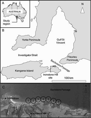 Figure 1. Map showing: A, The study region within Australia; B, the Ironstone Hill study site on NE Kangaroo Island in relation to Gulf St Vincent and Backstairs Passage; C, the locations of the seven receivers adjacent to Ironstone Hill. The circles around each receiver indicate a 200 m detection radius.