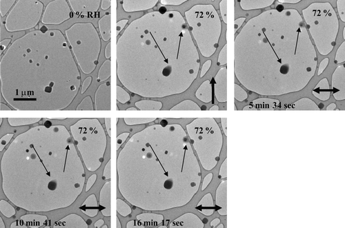 FIG. 4 Images of NaCl particles as the RH was raised and held at 72%. The thin arrows highlight that particle morphology did not observably change during 16 minutes of exposure to 72% RH. The particles were prepared using a TSI atomizer and were deposited on an ultra-thin carbon film with a holey-carbon support film.
