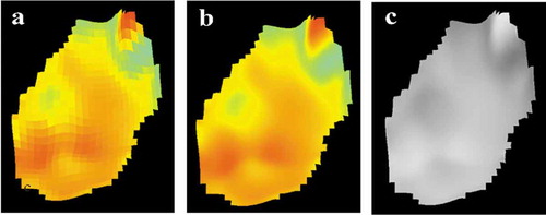 Figure 3. Displacement field images (a) raw (b) smoothed (c) greyscale