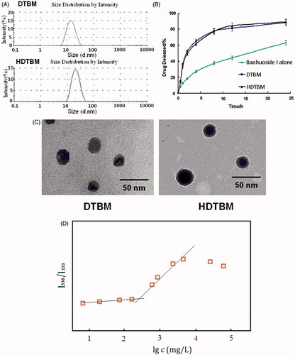 Figure 1. Characteristics of the baohuoside I-loaded micelles. Size distribution of baohuoside I-loaded micelles (A). Baohuoside I release profiles from the micelles in vitro (B).Transmission electron microscope (TEM) image of baohuoside I-loaded micelles in 50 nm scale (C). Quotient of vibrational band intensities (I338/I333) from excitation spectra of pyrene as a function of lg c of mixed micelle in distilled water (D). Data are presented as the mean ± SD (n =3).