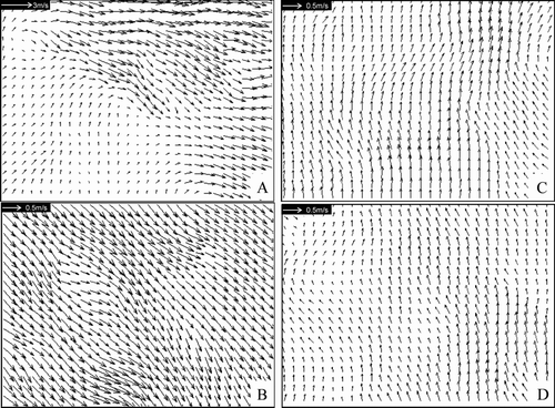 FIG. 3 (A) PIV measurement results at location A indicated in Figure 2a. (B) PIV measurement results at location B indicated in Figure 2a. (C) PIV measurement results at location C indicated in Figure 2a. (D) PIV measurement results at location D indicated in Figure 2b.