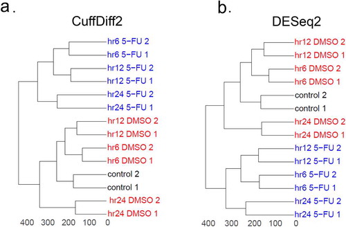 Figure 2. Comparison of RNA-seq samples analyzed by CuffDiff2 and DESeq2. Dendrograms were created for RNA-seq samples analyzed by CuffDiff2 (a) and DESeq2 (b). Gene expression levels represented by FPKM values for CuffDiff2 and read counts for DESeq2 were used for analysis. Two biological replicates were generated for the samples with no treatment (i.e. control, shown in black), as well as for samples treated with DMSO (red) or 5-FU (blue) at different time points (i.e. hr6, hr12 and hr24). The FPKM matrix and the count matrix for both CuffDiff2 and DESeq2 were scaled and then the Euclidean distances were calculated using the dist function in R. Hierarchical clustering analysis was made by the hclust function with the ward.D2 option. Based on the clustering results, the dendrograms were made using the ggdendro and ggplot2