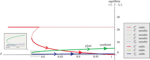 Figure 5. The symbiont-free equilibrium stable on (0, 0.787). One unstable interior equilibrium on (0.7659,0.787), one stable interior equilibrium on (0.7659, 1). Arrows indicate evolution of p as strategy of the plant or symbiont.