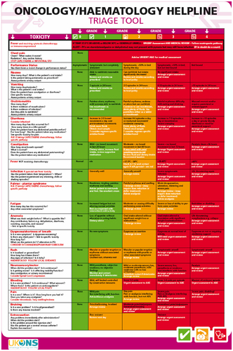 Figure 1 United Kingdom Oncology Nursing Society triage tool published in 2013.
