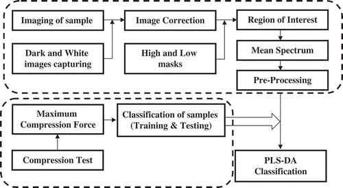 FIGURE 4 Flow chart of the texture analysis of rainbow trout using SWIR hyperspectral imaging.