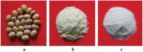 Figure 1. Soybean var. Grobogan: (a) the beans, (b) soybean meal, and (c) soy protein powder.