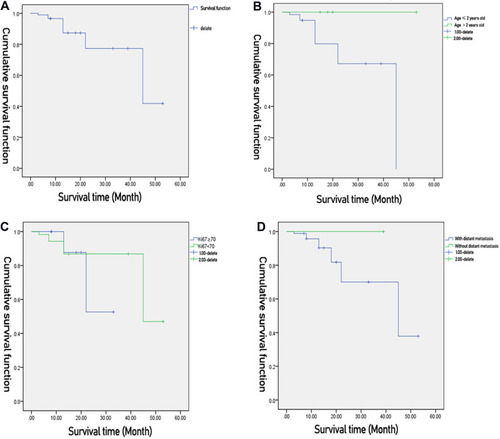 Figure 1 Clinical characteristics of malignant renal rhabdomyoid tumor in children.