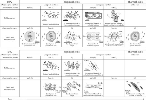 Figure 8. Synoptic reconstruction of the field- and petrographic-related evidence of the tectono-metamorphic evolution of the Mammola Paragneiss- and Stilo-Pazzano - metamorphic complexes.