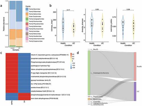 Figure 3. a) Relative abundance of viral contigs generated by ViroProfiler; b) Violin plots show different diversity indexes; c) Heatmap of AMGs predicted in viral contigs from healthy and UC samples; d) Sankey plot of host prediction for different viral contigs.