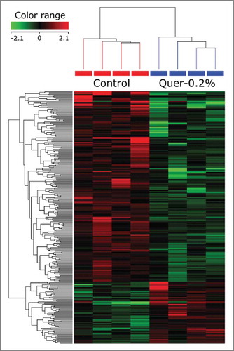 Figure 4. Visual representation of genes differentially modulated by quercetin treatment in the mammary glands of C3(1)/SV40Tag mice. A DNA microarray was conducted on C3-Con and C3-0.2% mammary gland samples (n = 4/gr) and the results are presented. The first 4 lanes (red) correspond to C3(1)/SV40Tag control mice and the last 4 to C3(1)/SV40Tag mice treated with 0.2% quercetin for 16 weeks.