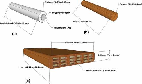 Figure 1. Geodesic size (95th percentile) and structure of Bico fibers (a), wood fibers (b) and seagrass leaves (c).