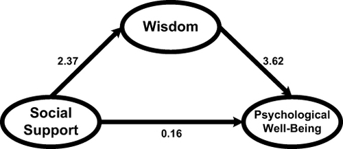 Figure 6 Wisdom as a mediator between social support variables and PWB.