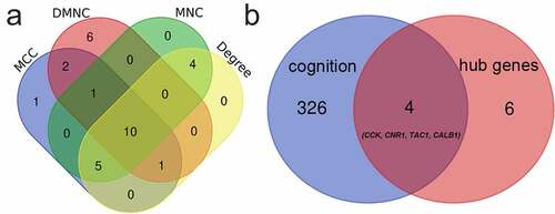 Figure 4. Venn diagrams for identification of hub genes (a) 10 hub genes were identified via the intersection of four algorithms (b) 4 genes related to the cognition according to biological process of Gene Ontology database. CALB1, Calbindin 1. TAC1, Tachykinin precursor 1. CCK, cholecystokinin. CNR1, cannabinoid receptor type 1