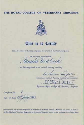 Figure 1. Pamela Cook’s certificate.