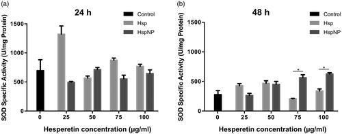 Figure 6. The effect of Hsp and HspNPs treatment in C6 glioma cells on SOD activity. (a) 24 h (b) 48 h incubation of cells with increasing concentrations Hsp and HspNPs. *indicate statistically significant differences between Hsp and HspNPs (p < .05).