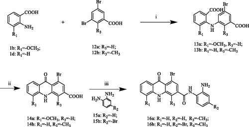 Scheme 3. Reagents and conditions: (i) DMF, K2CO3, Cu, 130 °C, overnight; (ii) H2SO4, 80 °C, reflux, 4 h; (iii) HATU, DIPEA, o-phenylenediamine or its derivatives, DMF, DCM, room temperature, overnight.