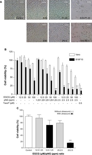 Figure 2 Improving anti-proliferative activity of EGCG and pNG in vitro.
