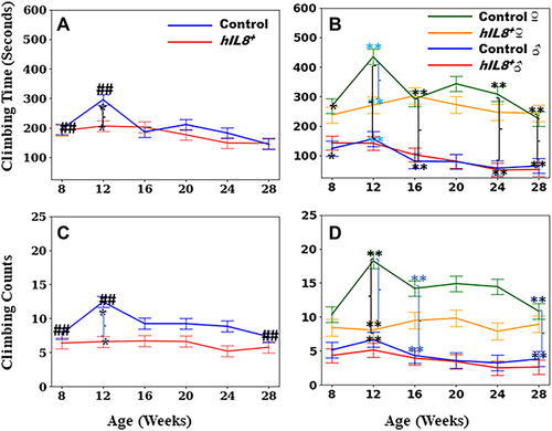 Figure 3 Time spent on climbing and climbing counts. (A and B) Comparison of time spent on climbing between hIL8+ and control mice, and hIL8+ and control mice of different sexes; (C and D) comparison of climbing counts between the 2 mouse types, and mice of different sexes. Values: mean ± 95% confidence intervals; ## p <0.01 when comparing values within the same cohort over age; **or *: p <0.01 or p <0.05, respectively, when comparing values between different cohorts at a single age.