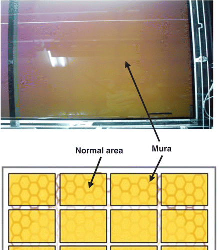 Figure 1. Photograph and schematic diagram of the lattice- shaped mura defects observed in the final test step of the LCD fabrication process.