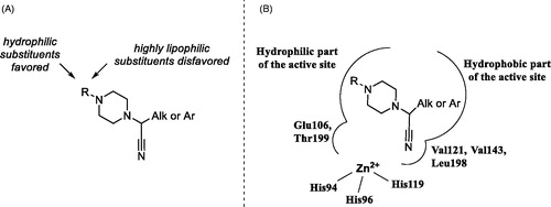 Figure 4. Preliminary SAR generalisations (A) and possible binding mode of N-(cyanomethyl)piperazines.