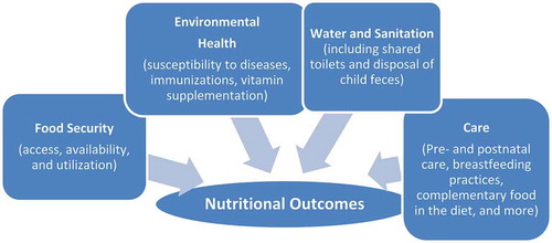 Figure 1. Integrated multisectoral interventions for appropriate child nutrition.Source: Adapted from UNICEF (Citation1990).