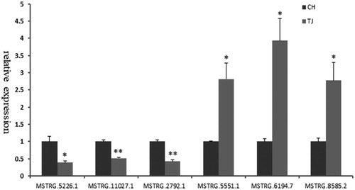 Figure 3. Validation of six differentially expressed lncRNAs by qPCR. Data are the mean ± SEM. *p<.05; **p<.01.