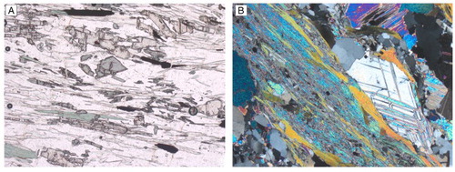 Figure 4. Microphotographs of contrasting metasediments of Aigerbach Fm from Vizze Valley subsurface. (A) Siliciclastic schist with light kyanite (hight relief prisms), bluish chloritoid, white mica and green chlorite, parallel Nicols. (B) Plurimillimetric anhydrite crystals in a dolomite-quartz-phlogopite-chlorite-bearing schist, crossed Nicols.