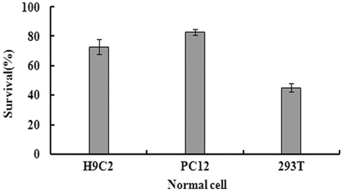 Figure 2. Effect of 2-dihydroailanthone on normal cells survival. Cells were treated with the dose of 20 μg/mL 2-dihydroailanthone for 48 h. Cell survival was determined by MTT, *p < 0.05, **p < 0.01.