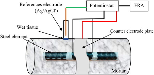 Figure 6. Schematic setup of the polarization resistance measurement.