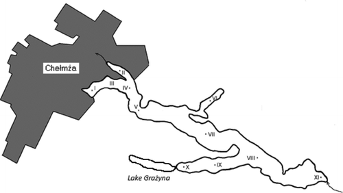 Figure 1 Map of Lake Chełmżyńskie and the locations of the sampling sites (I–XI). The town of Chełmża is in gray shading