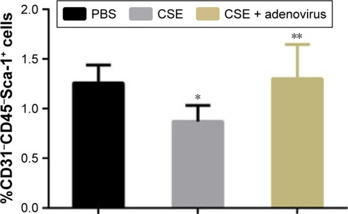 Figure 6 Number of lung CD31−CD45−Sca-1+ cells in experimental groups.