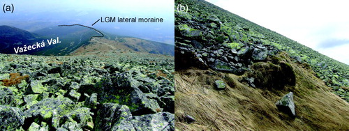 Figure 9. Periglacial blockfields: A. Granite blockfield on the southern slope of Kriváň Mountain (High Tatras), which developed through in situ weathering (autochthonous blockfied, Ballantyne, Citation2010); B. Granite blockfield on the slope of Jarząbczy Wierch Mountain (Western Tatras), partially mobilized (blockstreams, solifluction lobes; allochthonous blockfield).