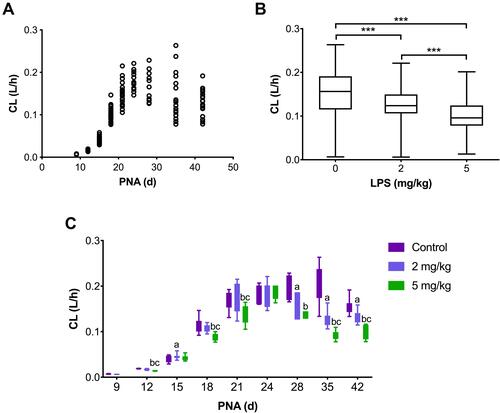 Figure 2 Comparison of CL between experimental and control groups of mice. (A) Scatter diagram of CL of midazolam at different LPS doses. (B) Boxplot of the individual predicted CL values for each individual in the study versus dosage of LPS after removing the impact of CW and PNA. ***Statistically significant differences in mean values between control, 2 mg/kg LPS, and 5 mg/kg LPS groups (p < 0.01). (C) Bar chart of CL of midazolam at different LPS doses.