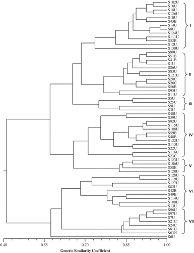Fig. 1. Phenogram based on simple matching similarity coefficients among 62 Cercospora sojina isolates collected from four countries. The seven clusters are indicated by Roman numerals. The last letter of the isolate name represents the country where the isolate was collected; U: United States; B: Brazil, C: China; N: Nigeria. The cophenetic correlation coefficient r = 0.80.