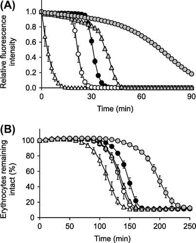 Fig. 5. ORAC assay (A) and OxHLIA (B) for ascorbigen, ascorbic acid, AA-2G, and Trolox.Notes: ORAC assay (A) reaction mixtures containing ascorbigen (Display full size), ascorbic acid (○), AA-2G (Display full size), and Trolox (●) (each 10 μM) or control (∆), fluorescein (60 nM) and AAPH (18.75 mM) in 200 μL of phosphate buffer (75 mM, pH 7.4) were incubated at 37 °C for 90 min. Changes in fluorescence intensity of fluorescein were monitored. Each value is the mean ±SD of three separate experiments. Absence of the SD bar means that the SD bar is within the symbol. OxHLIA (B) reaction mixtures containing ascorbigen (Display full size), ascorbic acid (○), AA-2G (Display full size), and Trolox (●) (each 50 μM) or control (∆), sheep erythrocytes (0.7%, v/v) and AAPH (40 mM) in 200 μL of PBS were incubated at 37 °C for 280 min. Changes in remaining rate of erythrocytes were monitored. Each value is the mean ±SD of three separate experiments. Absence of the SD bar means that the SD bar is within the symbol.