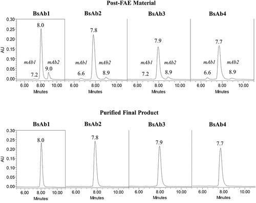 Figure 2. HIC chromatograms of BsAb products. Chromatograms for post-FAE reaction intermediates and final-purified products are shown in the top and bottom panels, respectively.