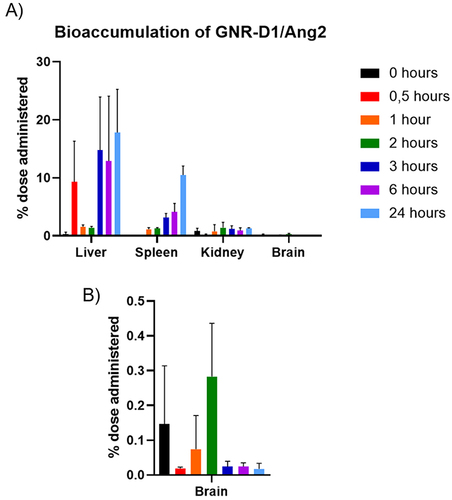 Figure 4 Bioaccumulation of the GNR-D1/Ang2 nanosystem in the C57Bl/6 mouse model in (A) different organs (liver, spleen, kidney, and brain) in a period of up to 24 hours and (B) the brain in the same period.