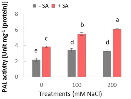 Figure 4. Effect of salinity (0, 100, and 200 mM NaCl) and exogenous application of SA on PAL activity in leaves of safflower plants at 21 days after treatments. The groups are −SA (plants with no SA treatment) and +SA (plants sprayed with 1 mM sodium salicylate three times a week for every other day). Columns indicate mean ± SE based on three replicates. Means with different letters indicate a significant difference at P ≤ .05 using Duncan’s multiple range test.