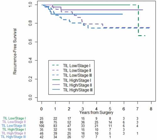 Figure 5. Stage-specific recurrence-free survival stratified by TIL low and TIL high for the cohort of 340 pMMR patients