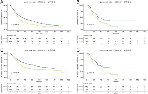 Figure 2 Kaplan-Meier curves of overall survival (A) and cancer specific survival (C) stratified by lymph node ratio (LNR) in the training cohort; overall survival (B) and cancer specific survival (D) stratified by LNR in the validation cohort.
